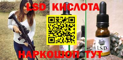 дмт Гай