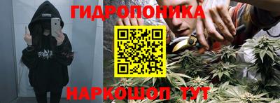 кокс Гатчина
