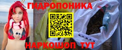 кокс Гатчина