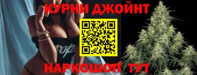 кокс Гатчина