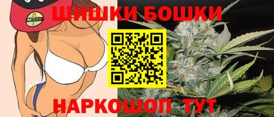 кокс Гатчина