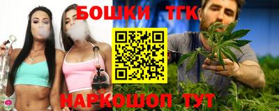 кокс Гатчина