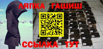 кокс Гатчина