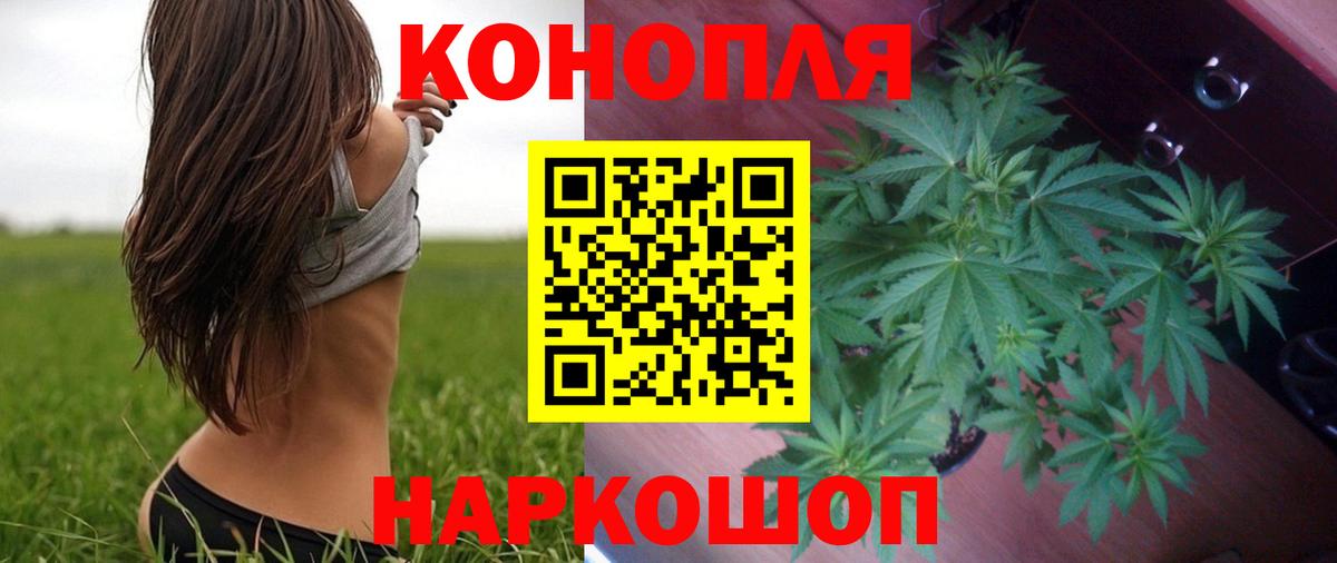 Канабис Ленинск-Кузнецкий
