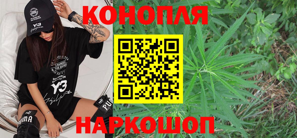 Бошки Шишки семена  Вход с VPN  Ленинск-Кузнецкий  Бошки марихуана семена  Каннабис Amnesia 